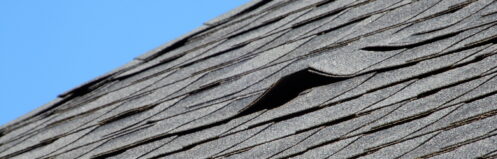 Lifted shingle